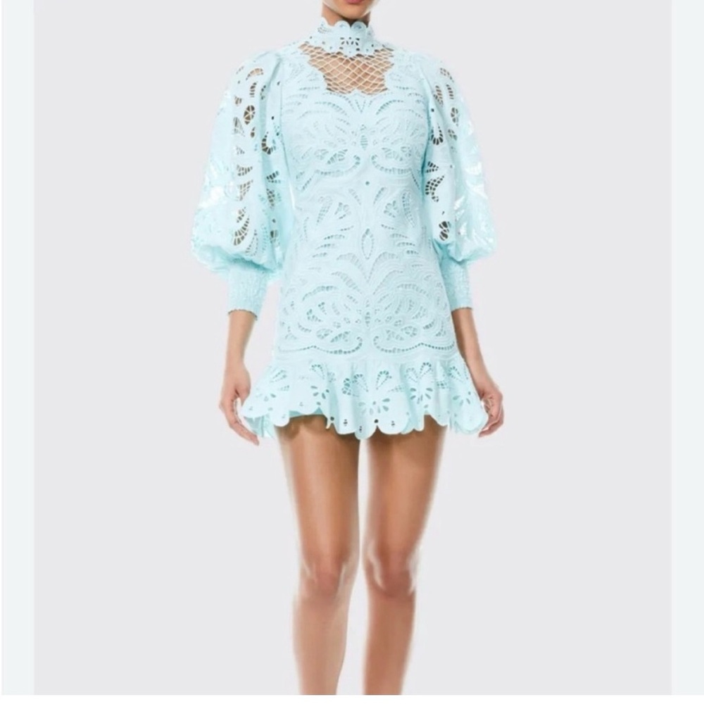 Alice + Olivia Light Blue Eyelet Mini Dress with Puff Sleeves